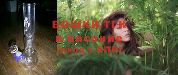 соль ск Алзамай